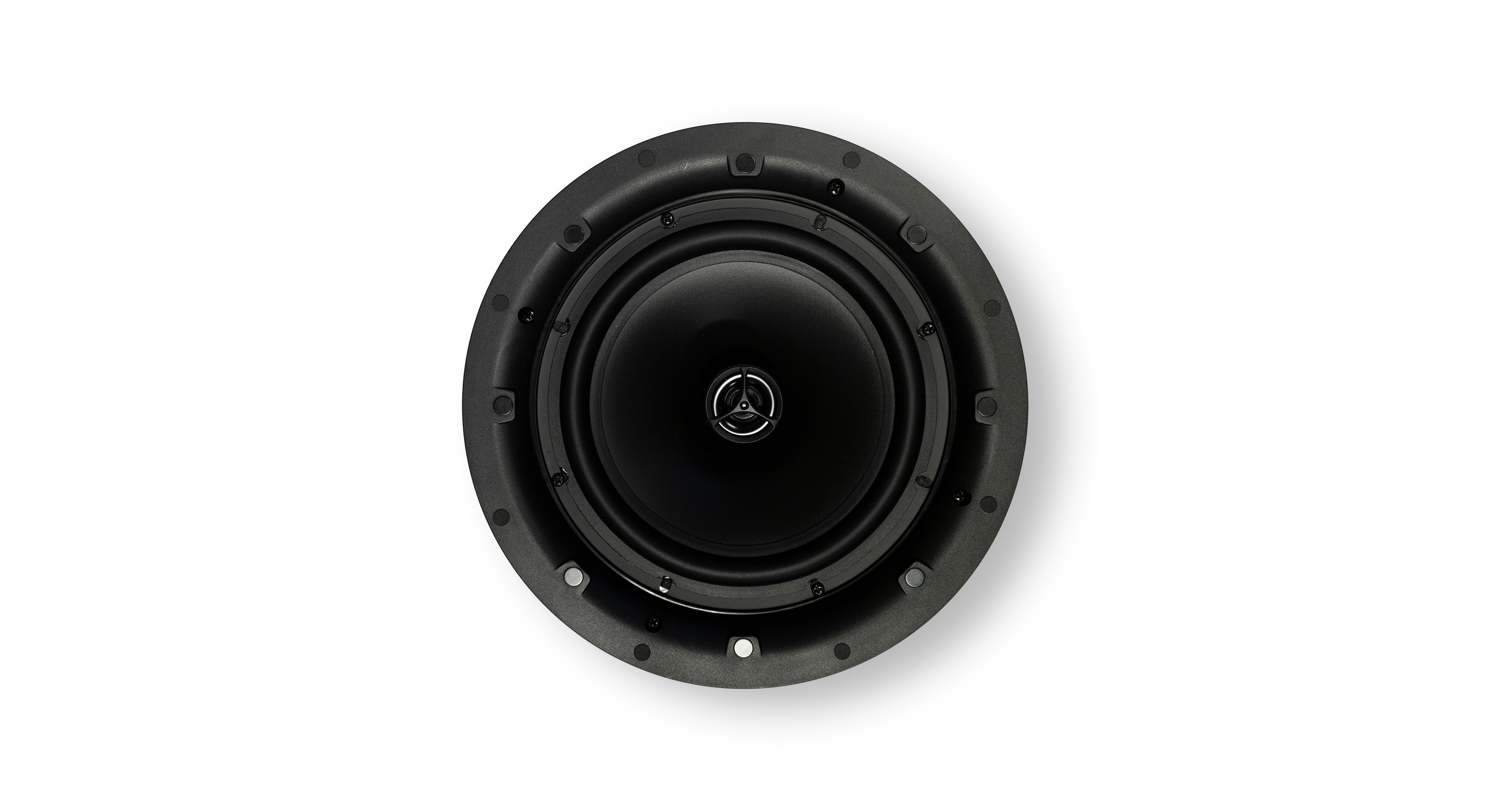 Tweeter Bridge VIC8X: 8” | 2-way | 60 WRMS | steerable tweeter | back can + tile ...